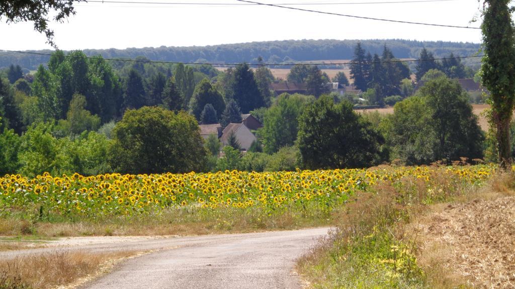 Maison Frankrijk Couloutre ภายนอก รูปภาพ
